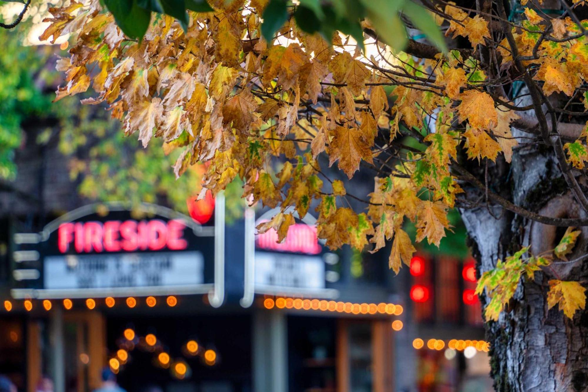 - The Etourdissante - Forest Park & Local Eats *