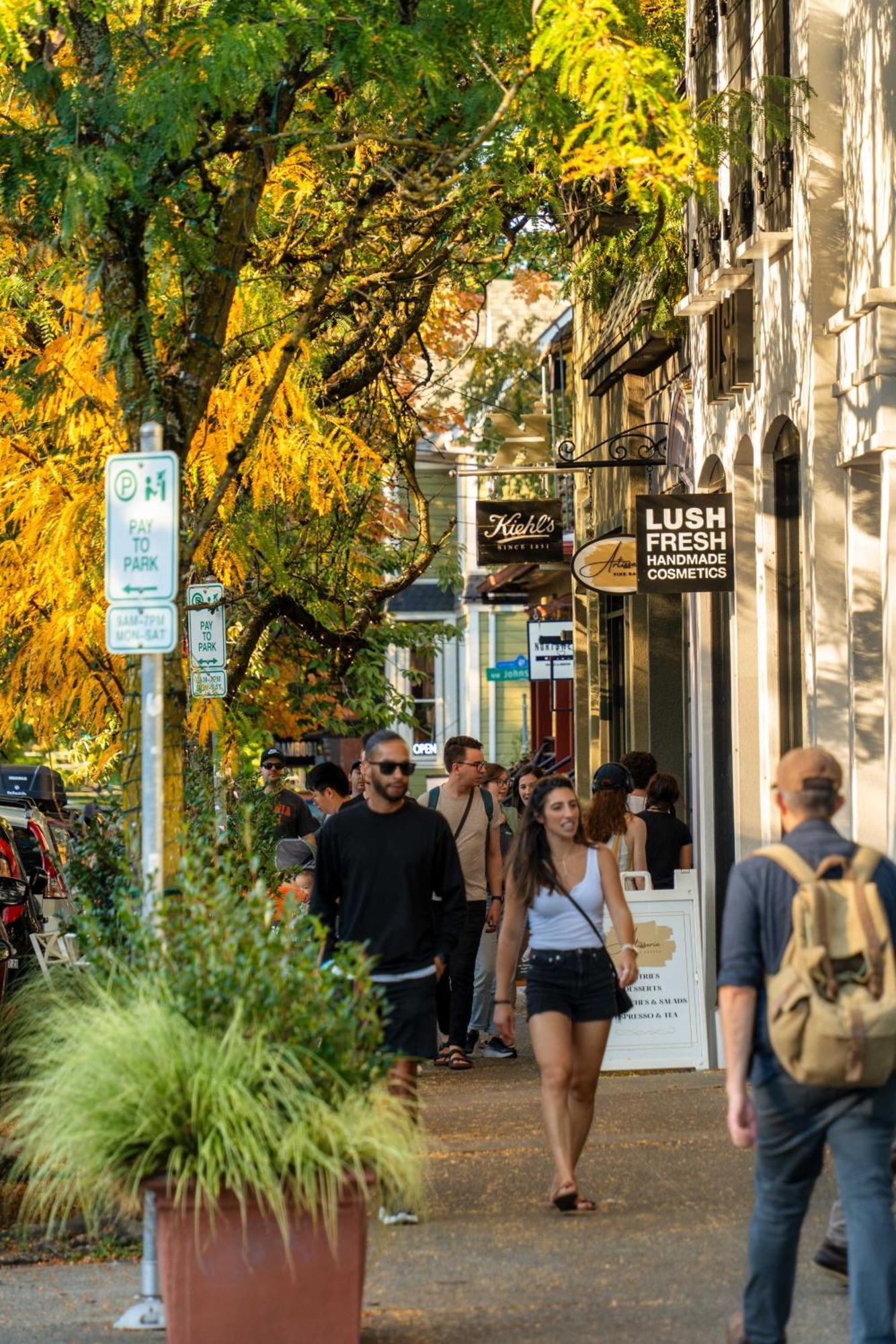 - The Etourdissante - Forest Park & Local Eats Apartment